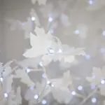 ホテル クロワゼット