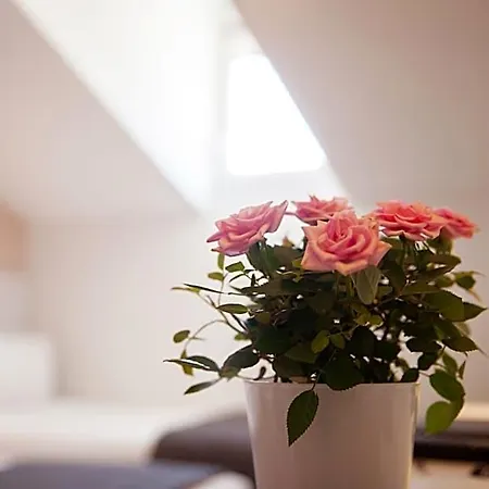 Hotell Croisette