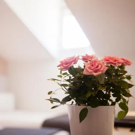 Hotell Croisette 3*